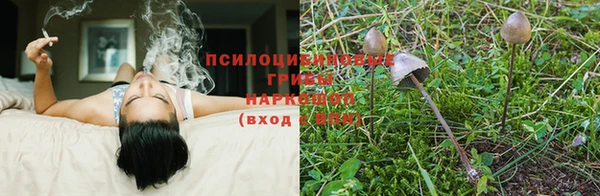 прущий лед Весьегонск
