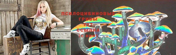 шишки Ветлуга